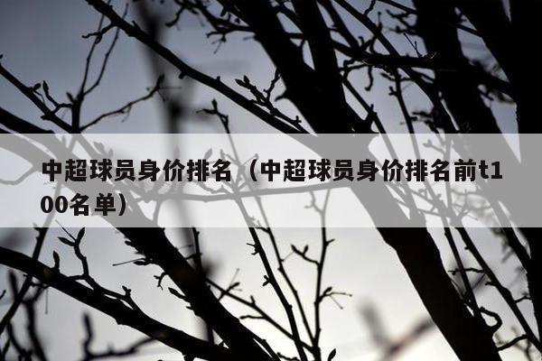 中超球员身价排名（中超球员身价排名前t100名单）