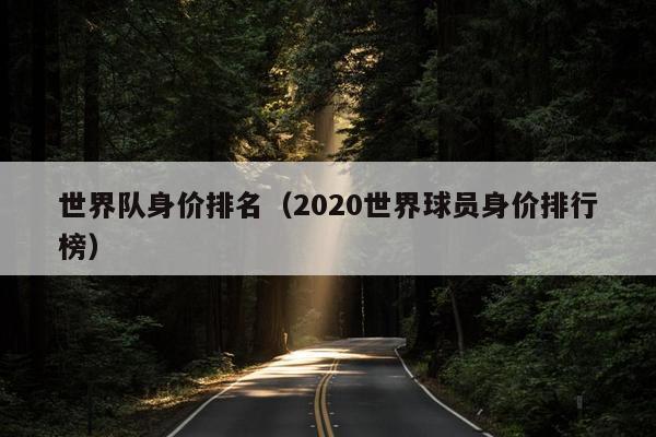 世界队身价排名（2020世界球员身价排行榜）