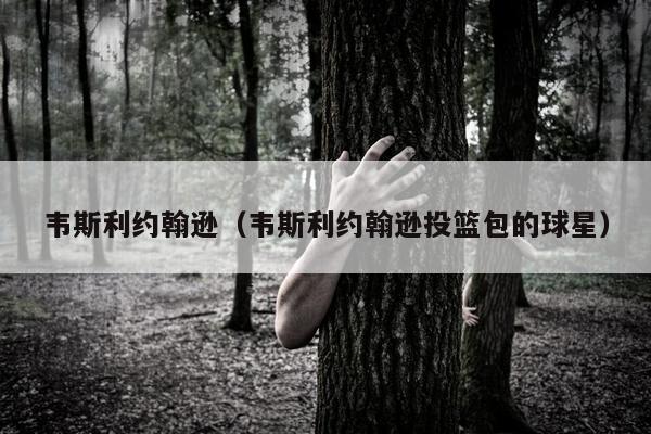 韦斯利约翰逊（韦斯利约翰逊投篮包的球星）