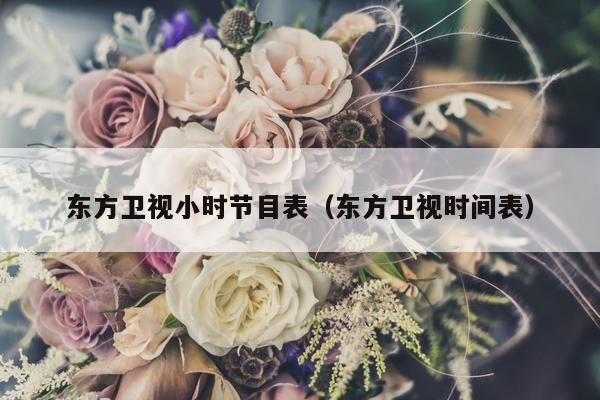 东方卫视小时节目表（东方卫视时间表）