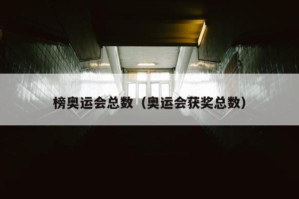 榜奥运会总数（奥运会获奖总数）