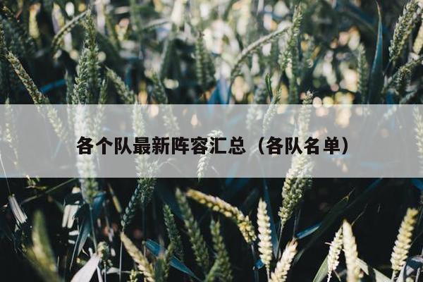 各个队最新阵容汇总（各队名单）