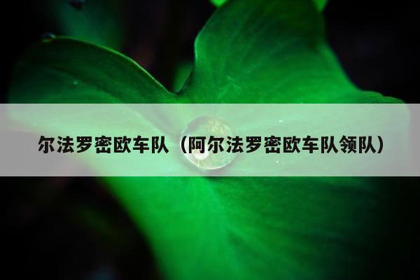 尔法罗密欧车队（阿尔法罗密欧车队领队）