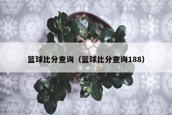 篮球比分查询（篮球比分查询188）