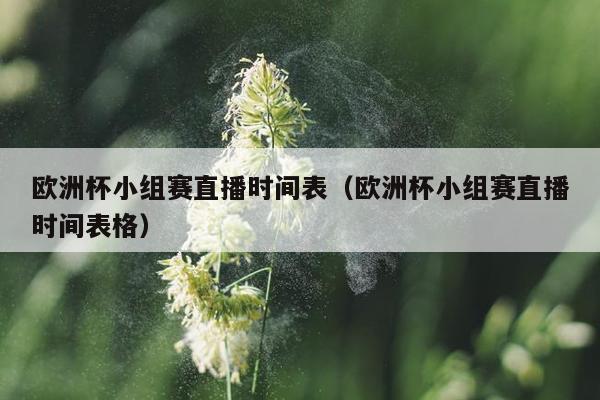 欧洲杯小组赛直播时间表（欧洲杯小组赛直播时间表格）