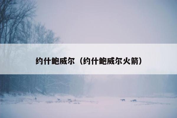 约什鲍威尔（约什鲍威尔火箭）