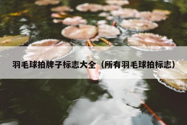 羽毛球拍牌子标志大全（所有羽毛球拍标志）