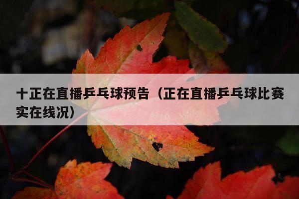 十正在直播乒乓球预告（正在直播乒乓球比赛实在线况）