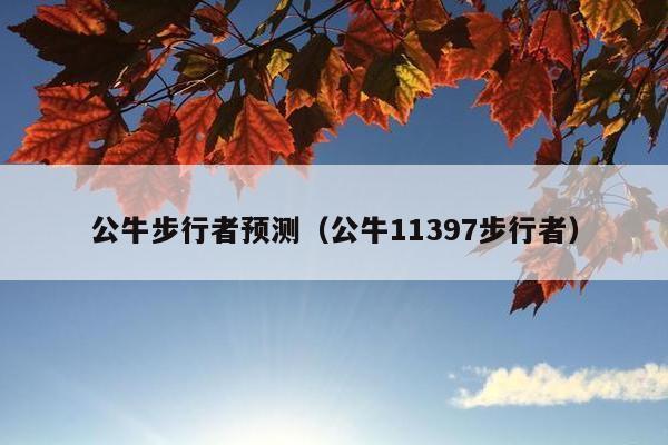 公牛步行者预测（公牛11397步行者）