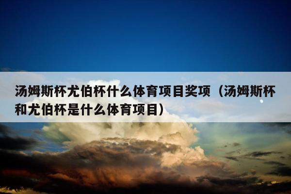 汤姆斯杯尤伯杯什么体育项目奖项（汤姆斯杯和尤伯杯是什么体育项目）