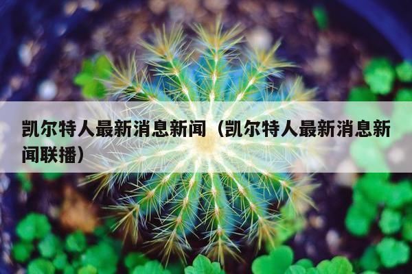 凯尔特人最新消息新闻（凯尔特人最新消息新闻联播）