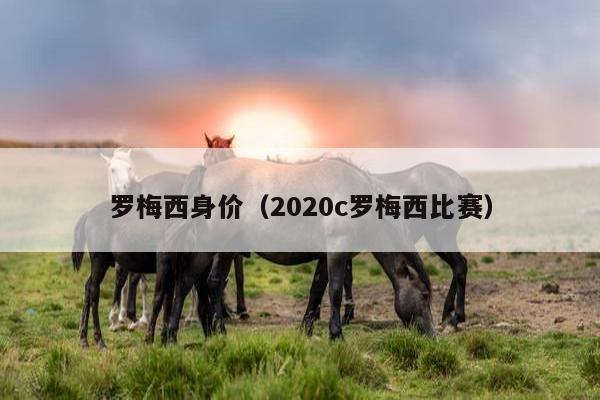 罗梅西身价（2020c罗梅西比赛）